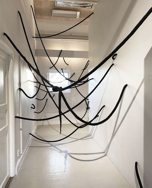 Worm Wide Web, 2022