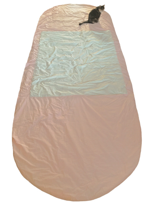 Bandaid blanket, 2019