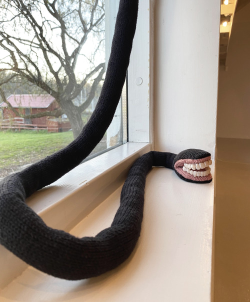 Worm Wide Web, 2022